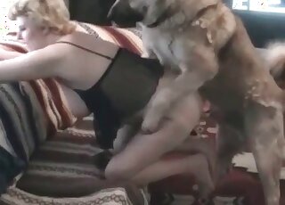 Light-minded mature vixen gets pusys licked and screwed by canine