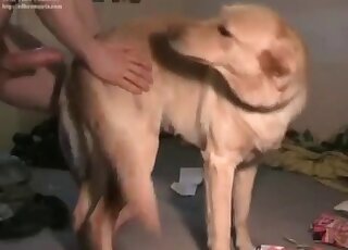 Zoophile guy screws his dog deep and hard in a zoo porn video