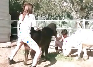 Lonely zoophile guy gets much satisfaction while pounding a horse