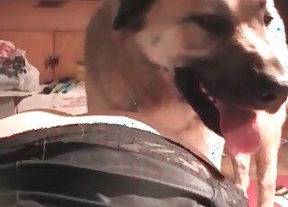 Aged slut with a shaved pussy gets pleasure of fucking with a canine