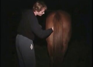 Shameless pervert comes to fuck a horse and enjoys it to the fullest
