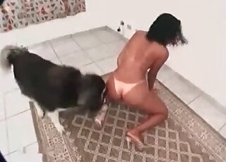 Suntanned slender chick wants her husky to bang her pussy
