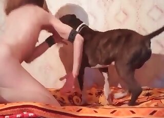 Hard cock of a canine rams asshole of a horny zoophile guy