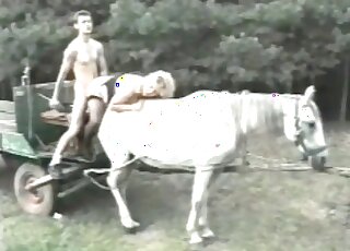 Weird guy inserts his hairy penis inside a horse in a zoo porn video
