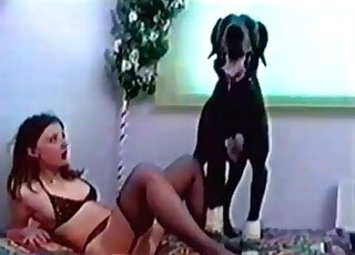 Massive canine gives a hot mature chick the craziest bang ever