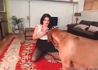 Kinky MILF in nice stockings let her dog join while masturbating