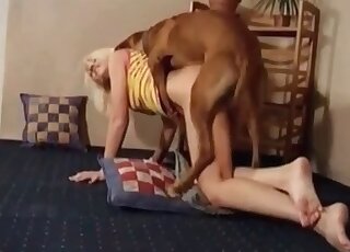 Trained dog fucks a cute MILF hard and fast to make her get orgasm