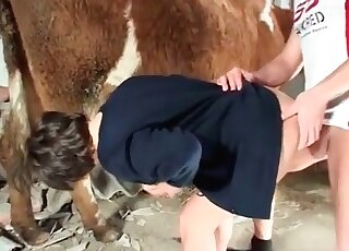 Slut strokes a cow’s tits while getting screwed by her brutal stud