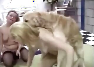 Mature lesbians involve their horny dog into a hot zoo porn action