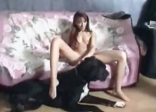 Naked, slender chick wants her dog to fuck her right on the bed