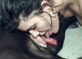 Brunette passionately licking her dog's red pecker during blowjob