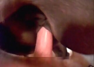 Animal sex lover finger fucks pussy of a horse and bangs it rough