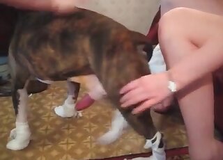 Bitchy wife trained her dog to fuck her cock craving snatch