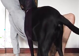 Sweetie takes off panties to get pussy licked by her loving dogs