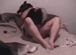 Female dog gets impaled on hard cock of a nasty zoophile dude