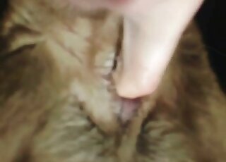 Zoophile takes a closeup video of his dog giving him some oral