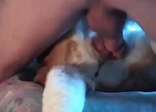 Dude bangs his submissive dog hard having no other choice for sex