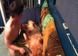 Crazy zoophilia sex tape showing a MILF and her sexy dog that fucks