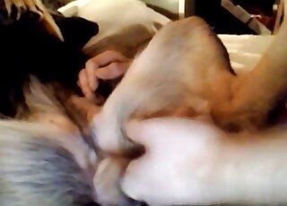 Overeager zoophile guy fingering his dog's pussy in a taboo sex tape