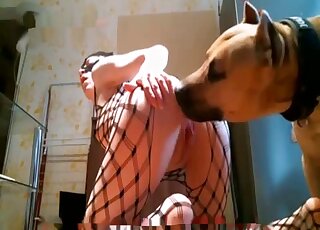 Mesh bodysuit zoophile letting that dog sniff that asshole in zoo XXX