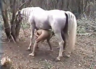 Doggystle horse fuck movie with a Latino bottom that wants dicks