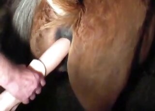 Dude fisting mare pussy in the dark on a farm and using toys