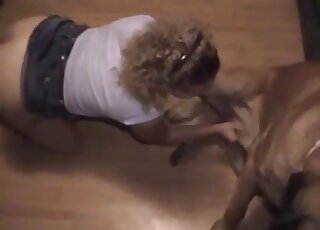 Zoophilic diva in a denim skirt tries to seduce her dog on the floor