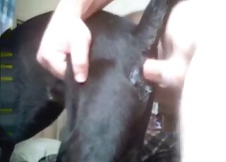 Zoophilic guy with a sexy gut fucking black dog from behind in HQ