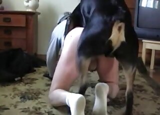 White socks zoophile fucked on the living room floor by a dog