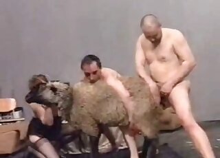 Group mature zoophile porn video with kinky people fucking hard